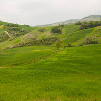 Prodotto di montagna